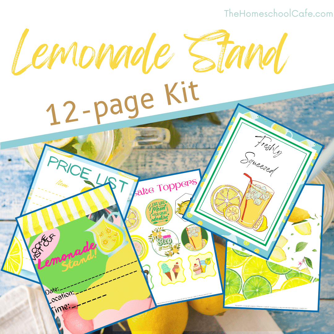 Lemonade Stand Kit for Kids in Las Vegas
